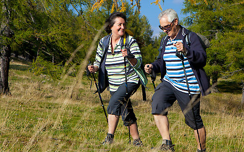 Bayern Nordic Walking